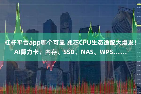 杠杆平台app哪个可靠 兆芯CPU生态适配大爆发！AI算力卡、内存、SSD、NAS、WPS……