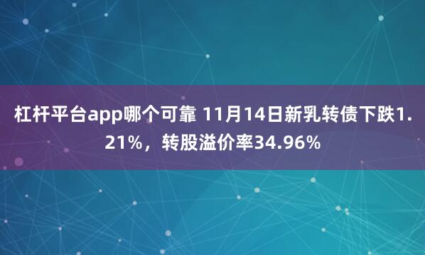 杠杆平台app哪个可靠 11月14日新乳转债下跌1.21%，转股溢价率34.96%